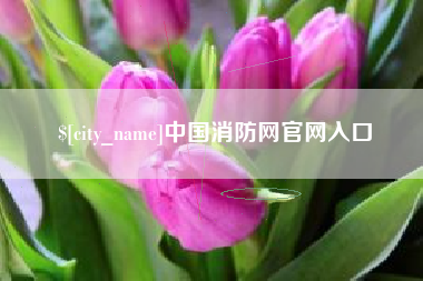江苏中国消防网官网入口