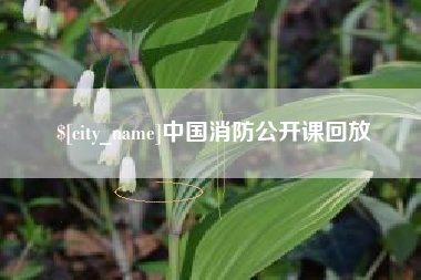 江苏中国消防公开课回放