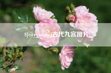 江苏古代九宫图片