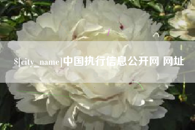 江苏中国执行信息公开网 网址