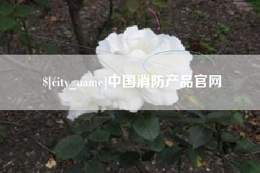 江苏中国消防产品官网