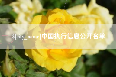 江苏中国执行信息公开名单