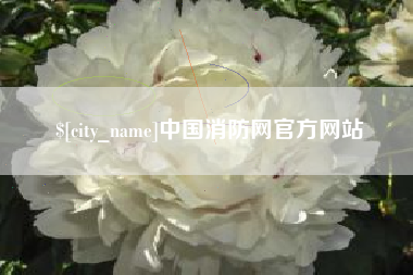 江苏中国消防网官方网站
