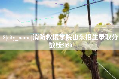 江苏消防救援学院山东招生录取分数线2020