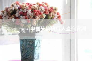 江苏中国失信执行人查询官网