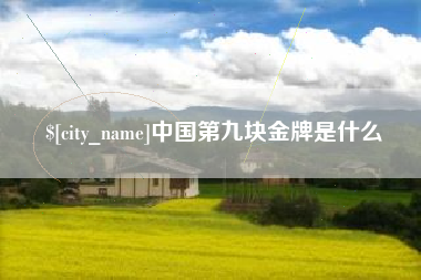 江苏中国第九块金牌是什么