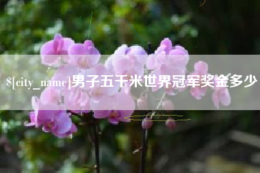 江苏男子五千米世界冠军奖金多少