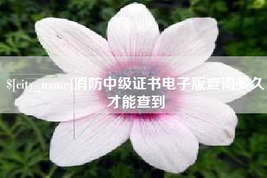 江苏消防中级证书电子版查询多久才能查到