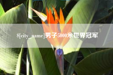江苏男子5000米世界冠军
