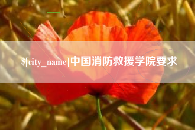 江苏中国消防救援学院要求