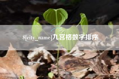 江苏九宫格数字排序