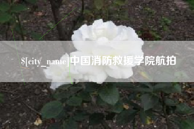 江苏中国消防救援学院航拍
