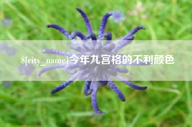 江苏今年九宫格的不利颜色