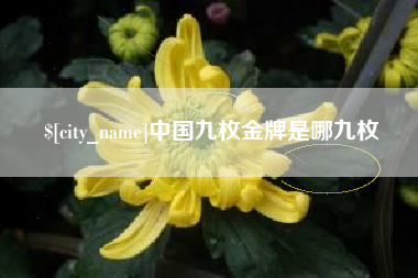 江苏中国九枚金牌是哪九枚
