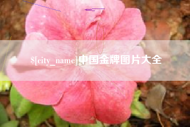 江苏中国金牌图片大全