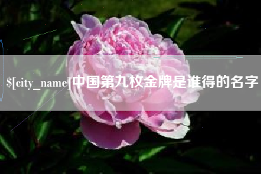 江苏中国第九枚金牌是谁得的名字