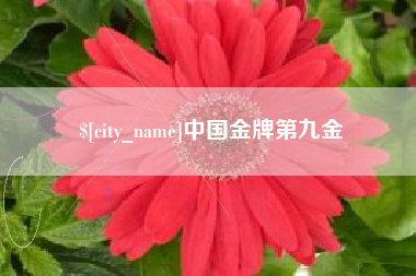 江苏中国金牌第九金