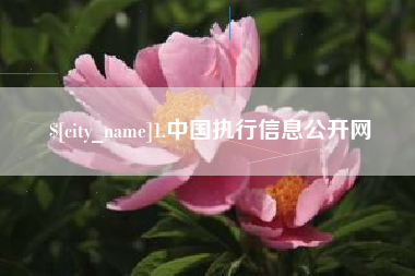 江苏1.中国执行信息公开网