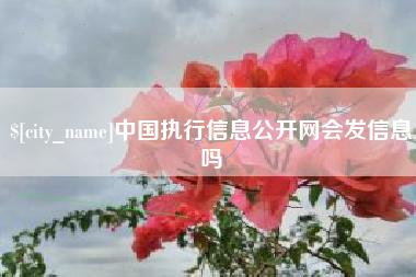 江苏中国执行信息公开网会发信息吗