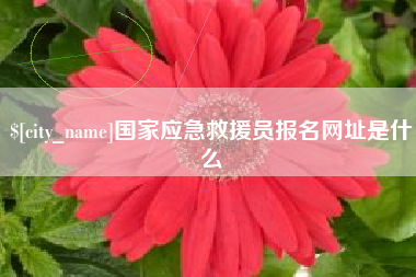 江苏国家应急救援员报名网址是什么