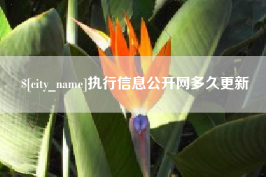 江苏执行信息公开网多久更新