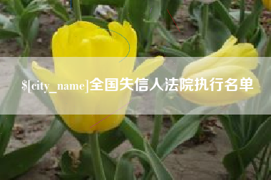 江苏全国失信人法院执行名单