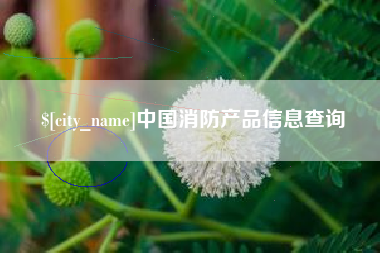 江苏中国消防产品信息查询