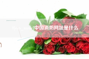 江苏中国消防网址是什么