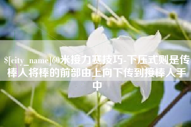 江苏60米接力赛技巧-下压式则是传棒人将棒的前部由上向下传到接棒人手中
