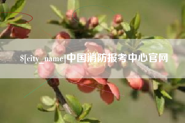 江苏中国消防报考中心官网