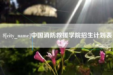江苏中国消防救援学院招生计划表