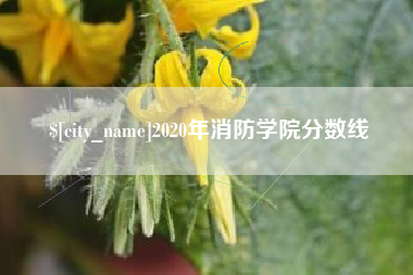 江苏2020年消防学院分数线