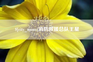 江苏消防救援总队王星
