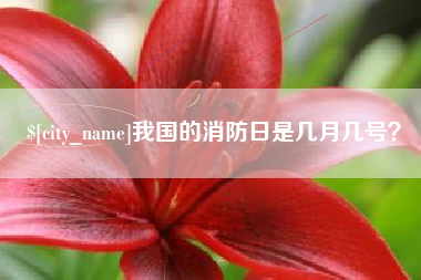 江苏我国的消防日是几月几号？