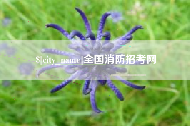 江苏全国消防招考网