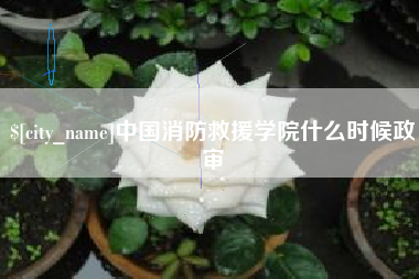 江苏中国消防救援学院什么时候政审