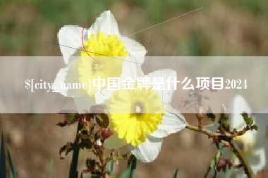 江苏中国金牌是什么项目2024