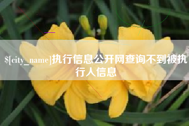 江苏执行信息公开网查询不到被执行人信息