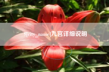 江苏九宫详细说明