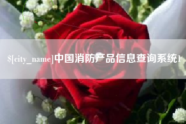 江苏中国消防产品信息查询系统1