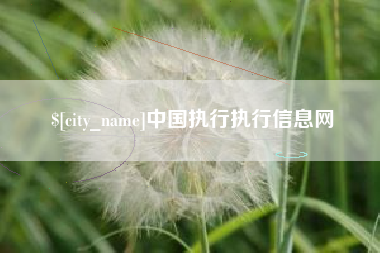 江苏中国执行执行信息网