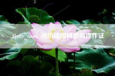 江苏消防证国网查询操作证