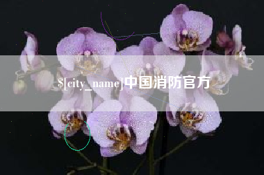 江苏中国消防官方