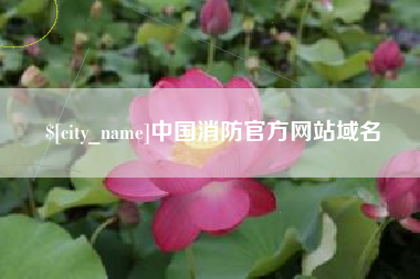 江苏中国消防官方网站域名