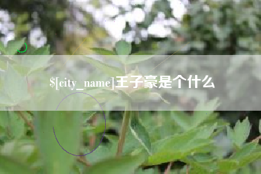 江苏王子豪是个什么