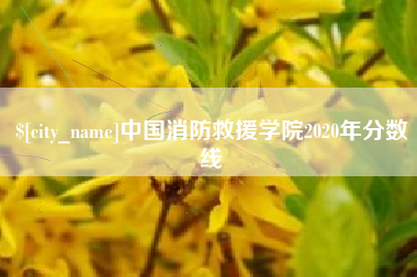 江苏中国消防救援学院2020年分数线