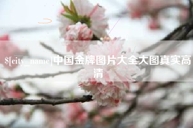 江苏中国金牌图片大全大图真实高清