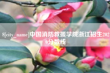 江苏中国消防救援学院浙江招生2020分数线