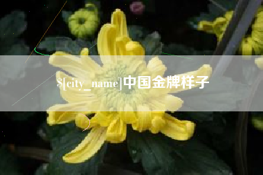 江苏中国金牌样子