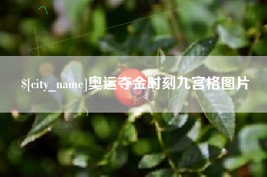 江苏奥运夺金时刻九宫格图片